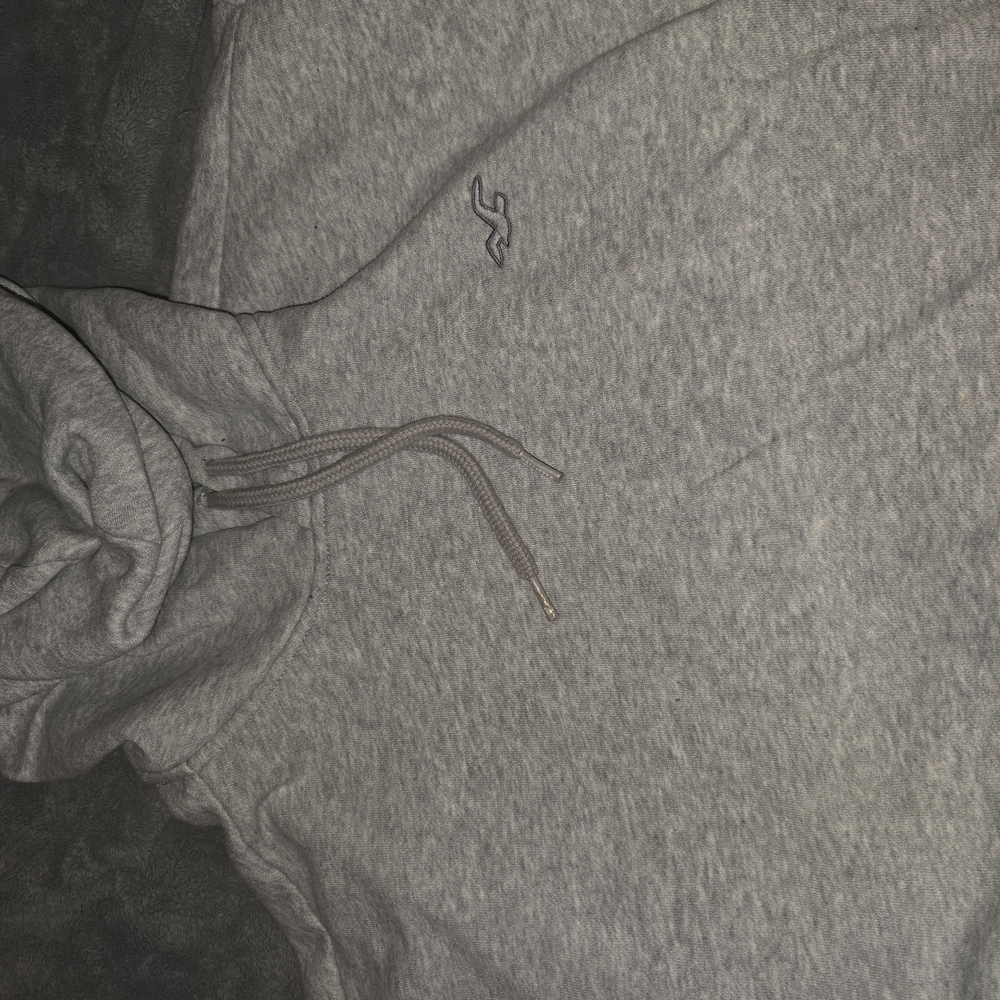 Gray Hollister Men's Hoodie